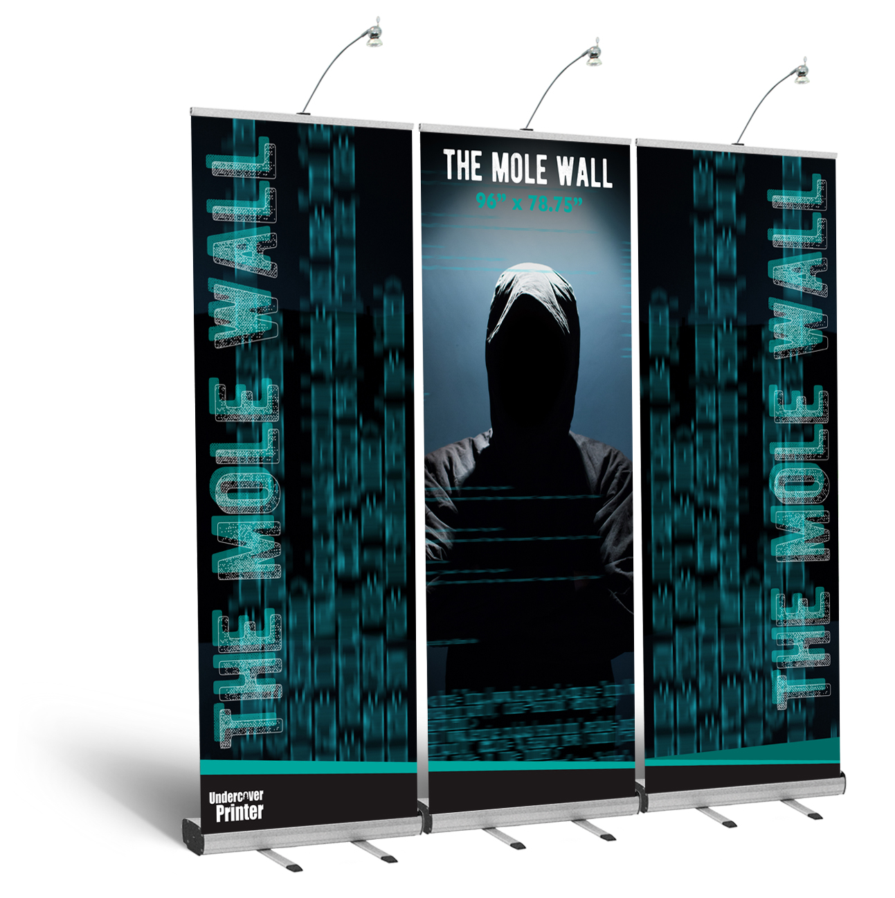 Mole-Backwall-8ft-dc-va-md